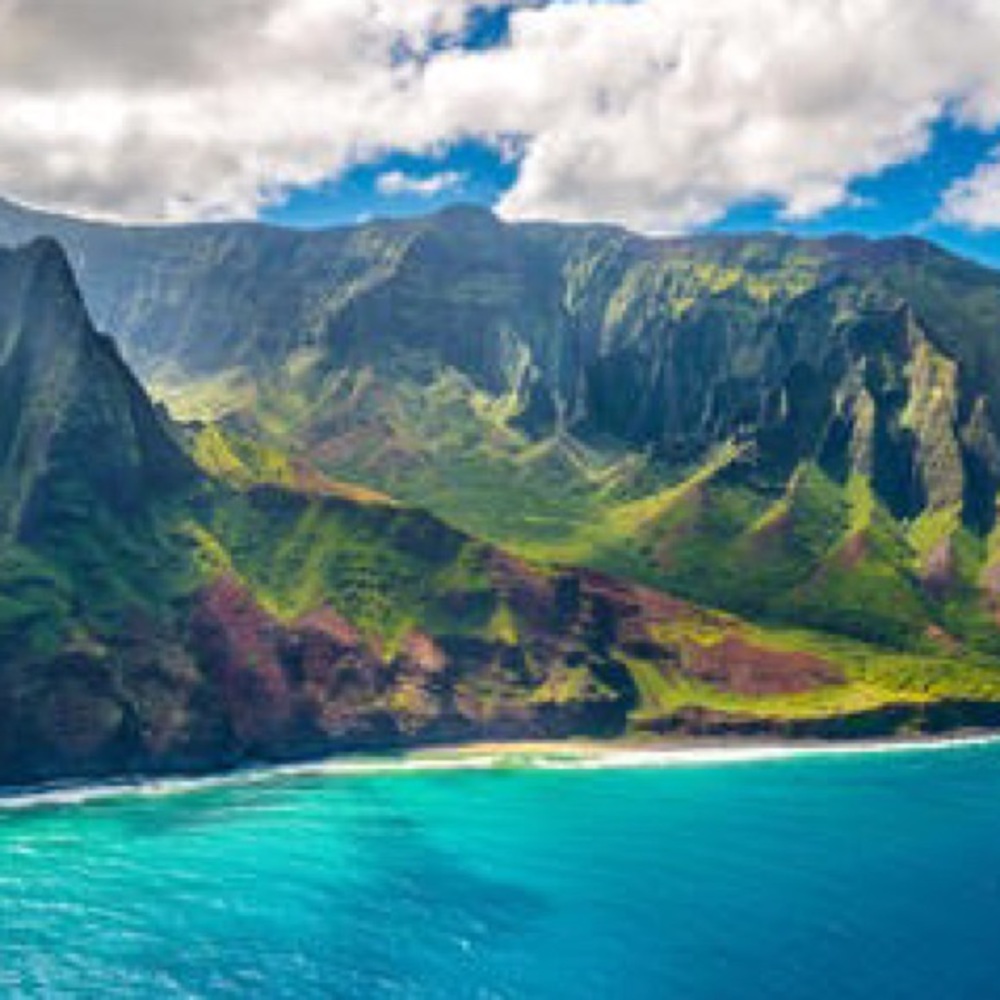 Meet your Posher, Nala